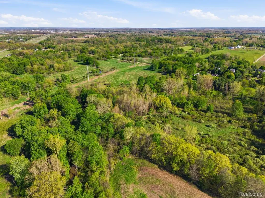 00 Layton Road Handy Township MI 48836