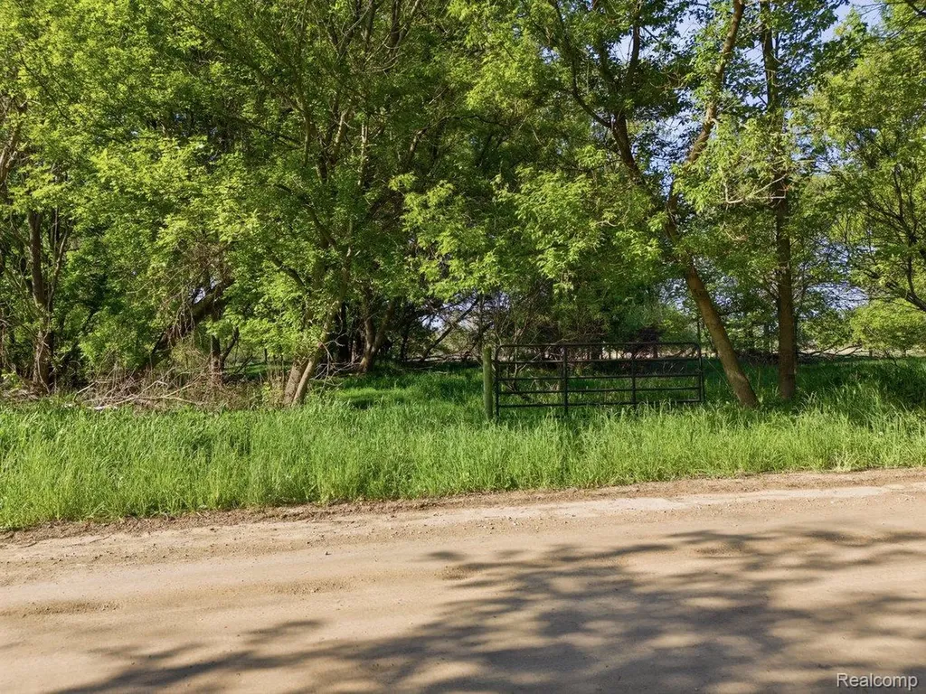 00 Layton Road Handy Township MI 48836