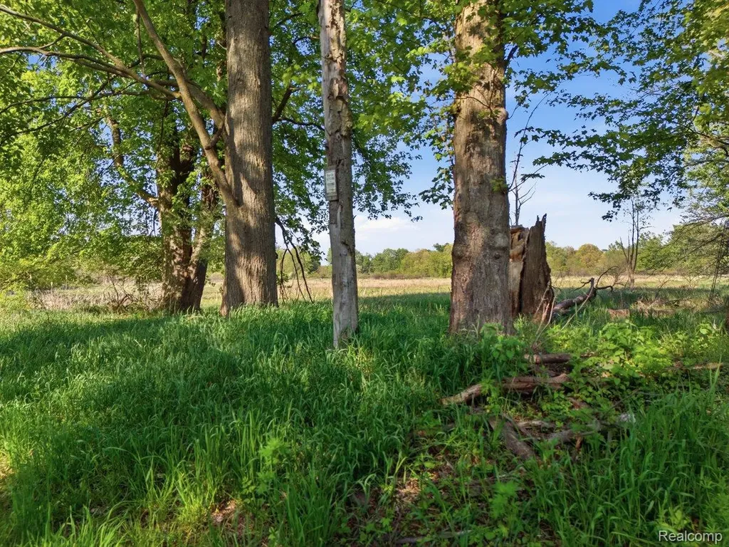 00 Layton Road Handy Township MI 48836