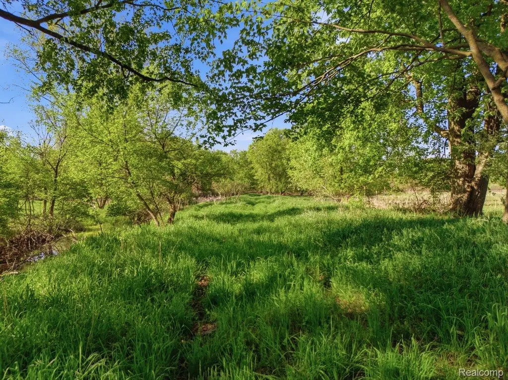 00 Layton Road Handy Township MI 48836