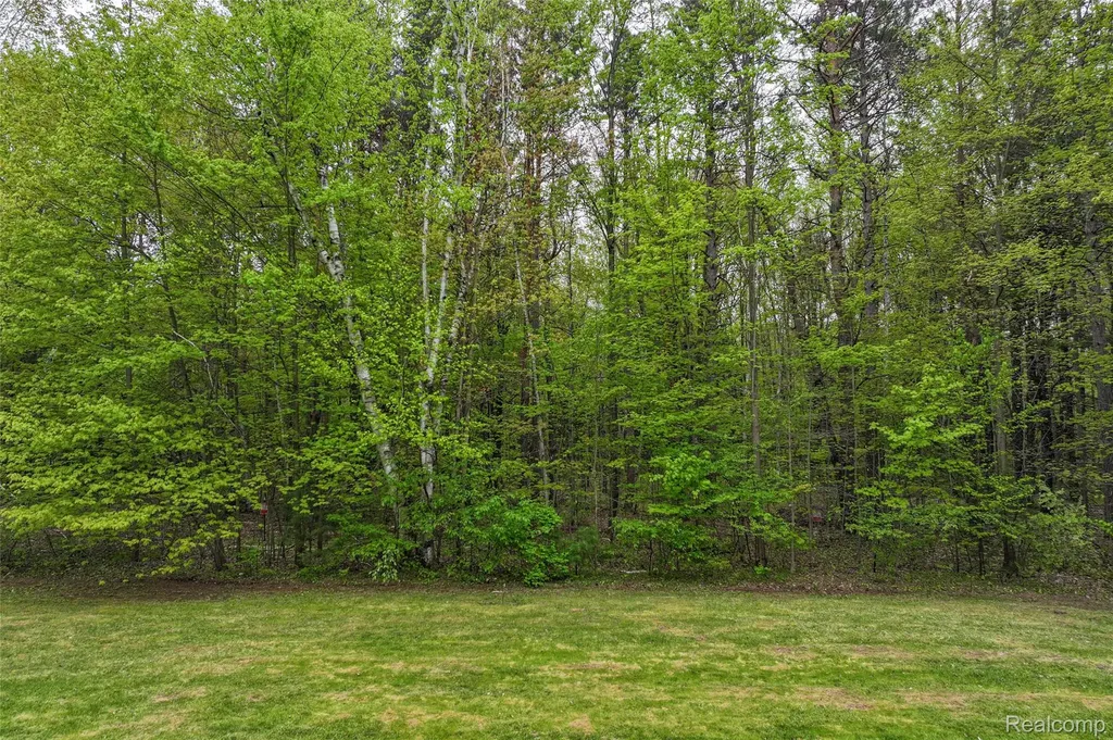4587 Brown Road Vassar Township MI 48768
