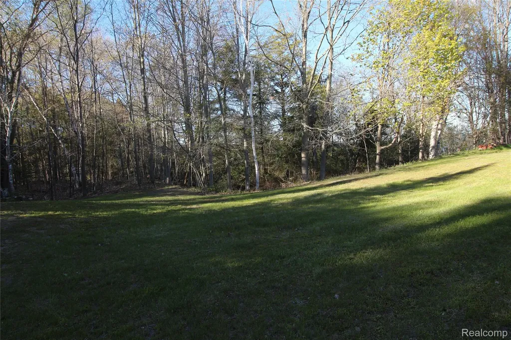 6405 Brookside Drive Forester Township MI 48427