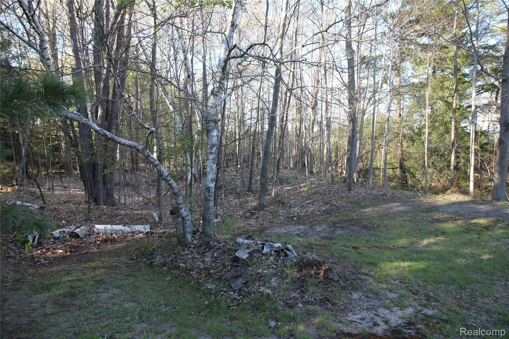 6405 Brookside Drive Forester Township MI 48427