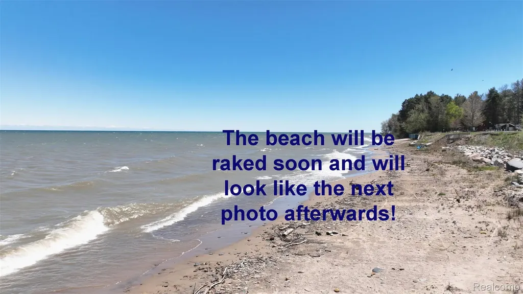 6405 Brookside Drive Forester Township MI 48427