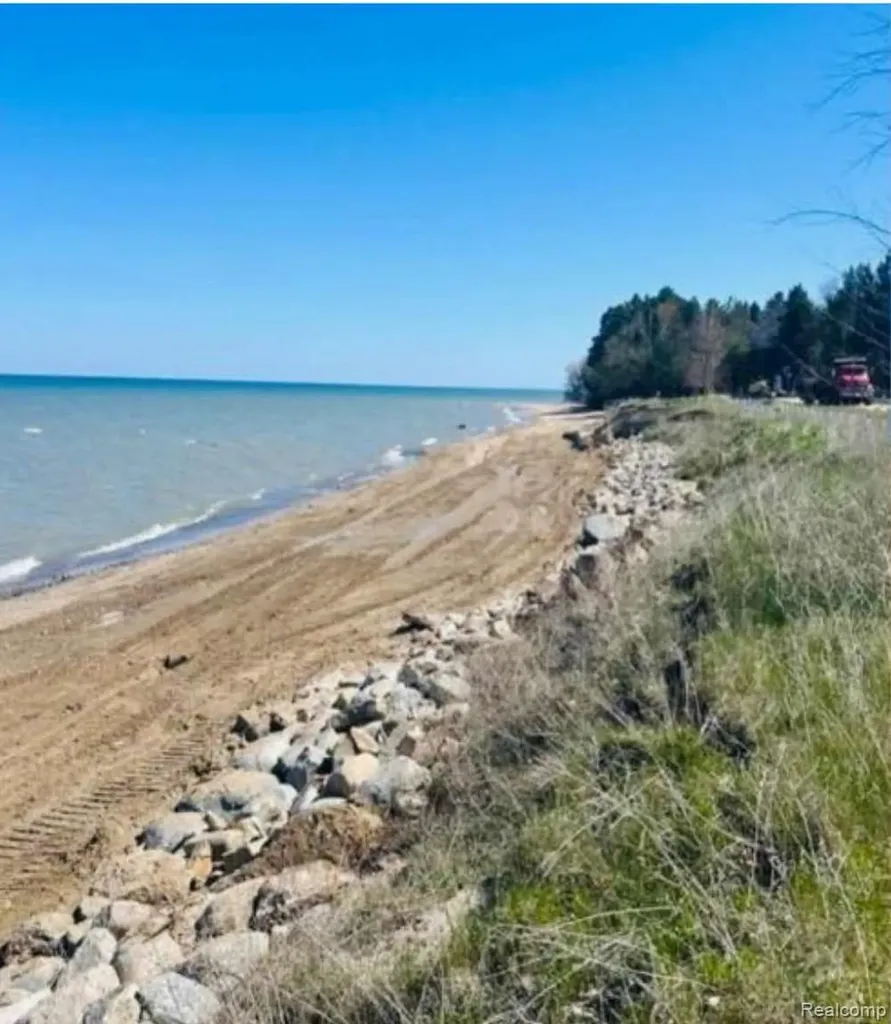 6405 Brookside Drive Forester Township MI 48427