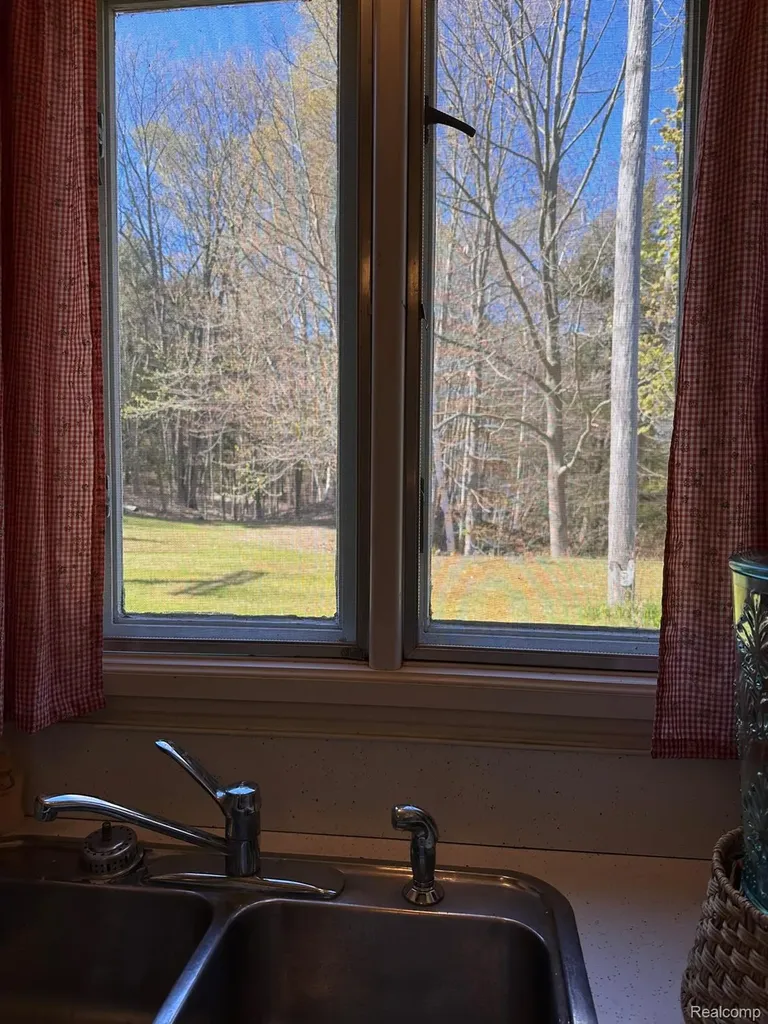 6405 Brookside Drive Forester Township MI 48427