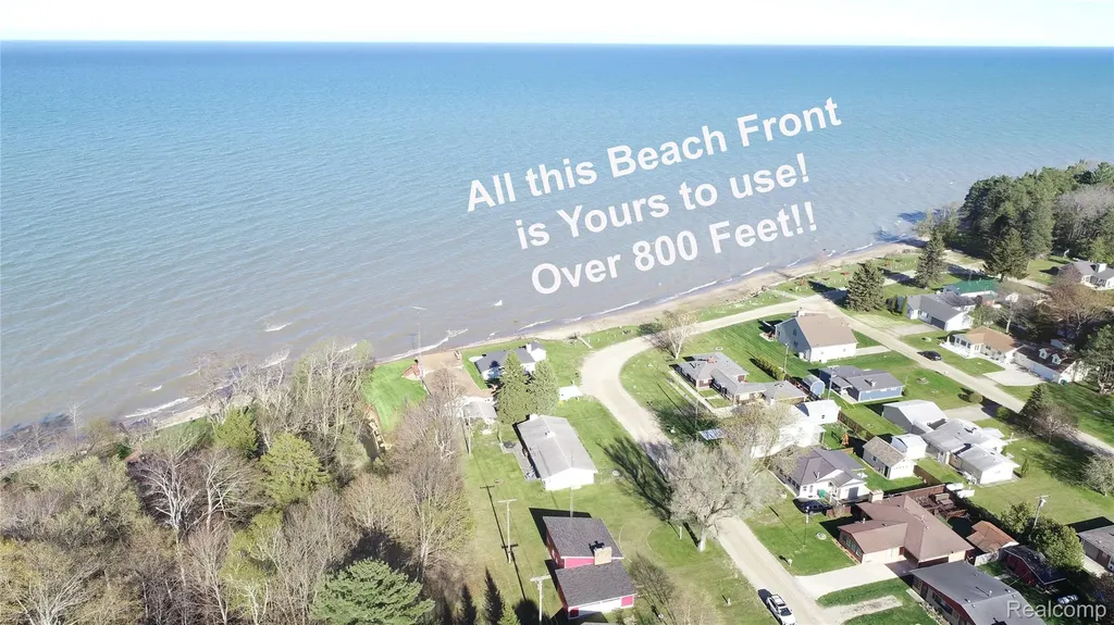 6405 Brookside Drive Forester Township MI 48427