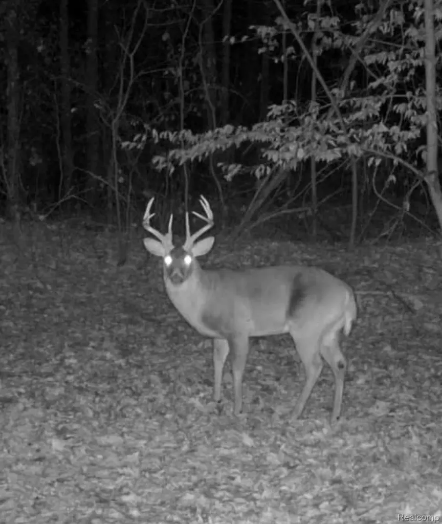 Vl Grand Blanc Road Mundy Township MI 48473