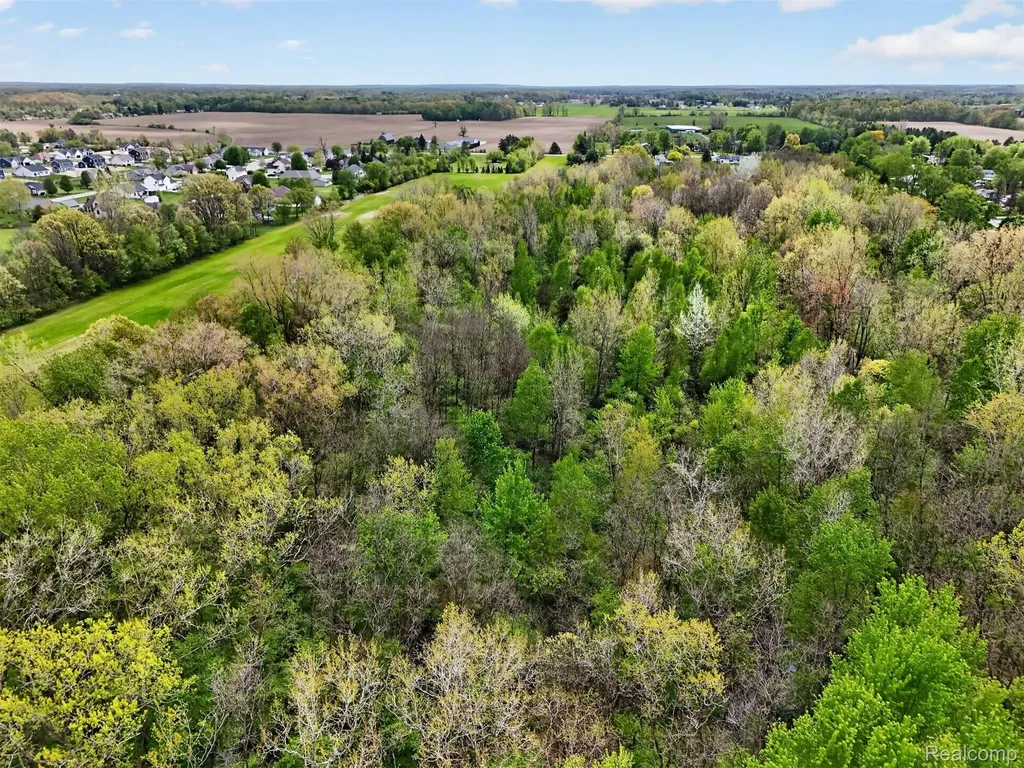 Vl Grand Blanc Road Mundy Township MI 48473