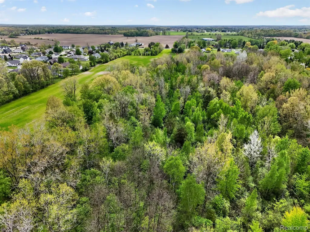 Vl Grand Blanc Road Mundy Township MI 48473