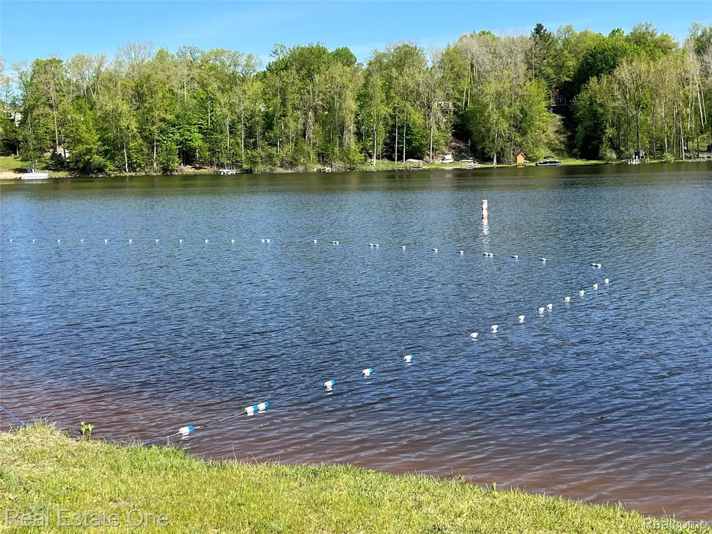 0 S. Forest Lake Drive Moffatt Township MI 48610