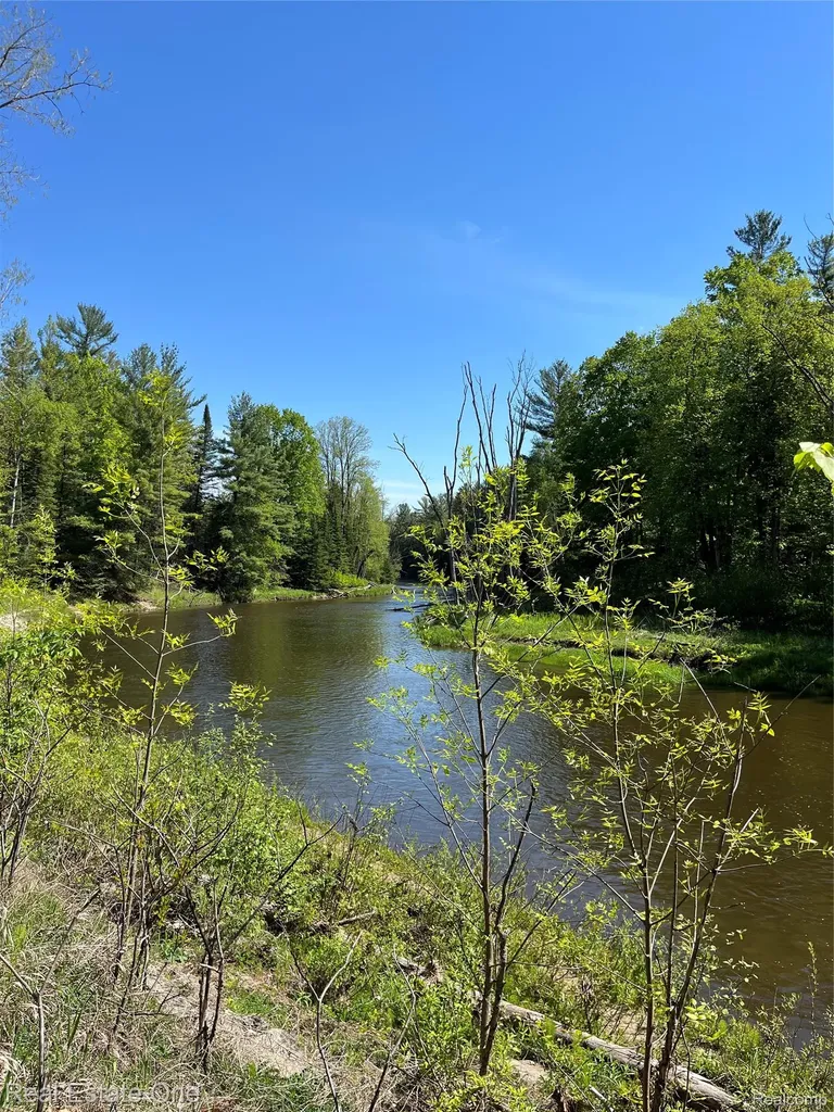 0 S. Forest Lake Drive Moffatt Township MI 48610