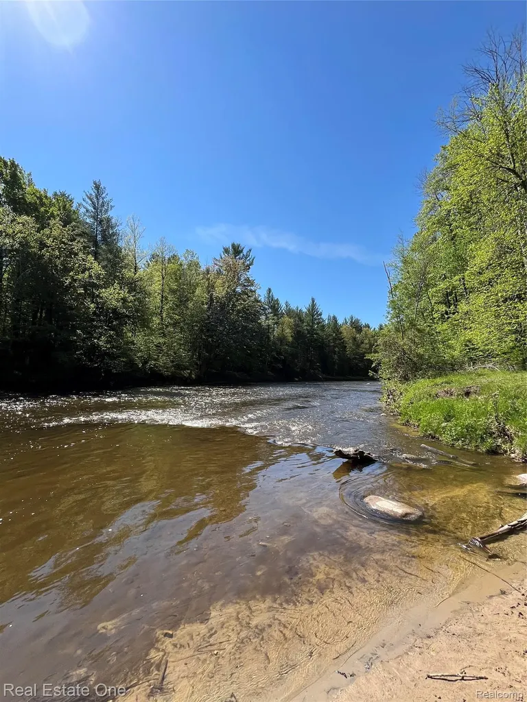 0 S. Forest Lake Drive Moffatt Township MI 48610