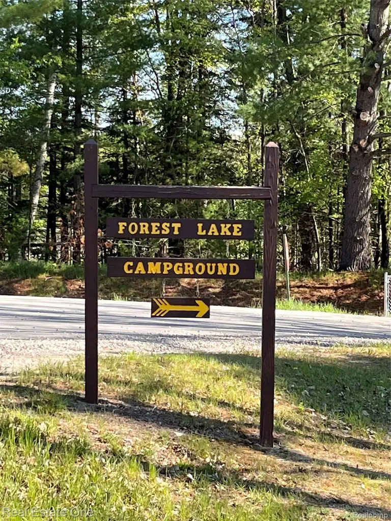0 S. Forest Lake Drive Moffatt Township MI 48610