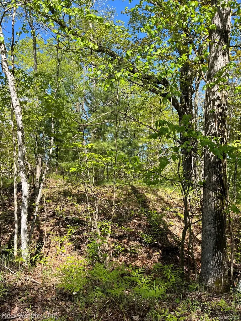 0 S. Forest Lake Drive Moffatt Township MI 48610