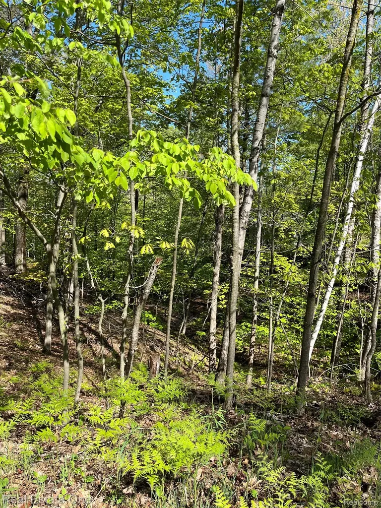 0 S. Forest Lake Drive Moffatt Township MI 48610