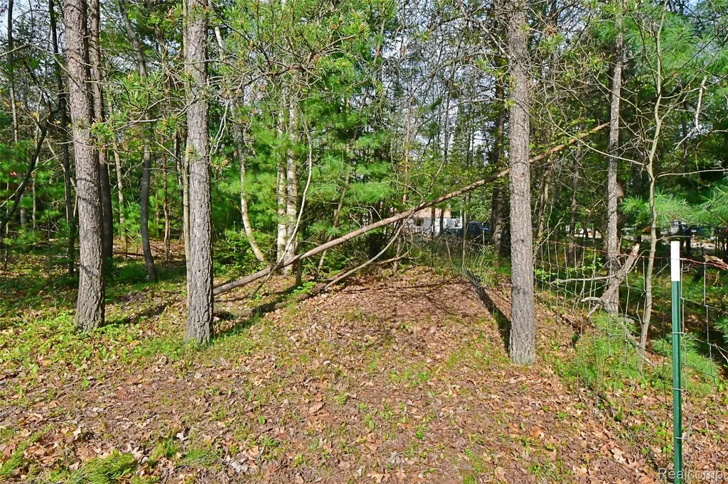 9340 Diamond Drive Richfield Township MI 48656