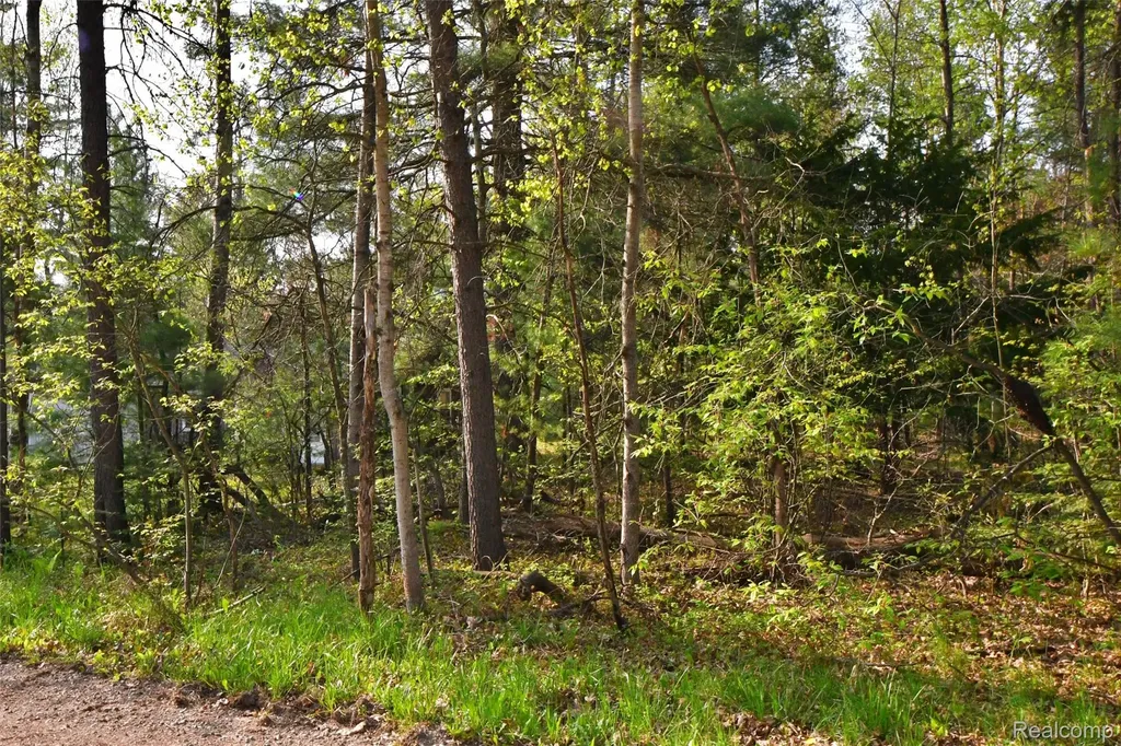 9340 Diamond Drive Richfield Township MI 48656