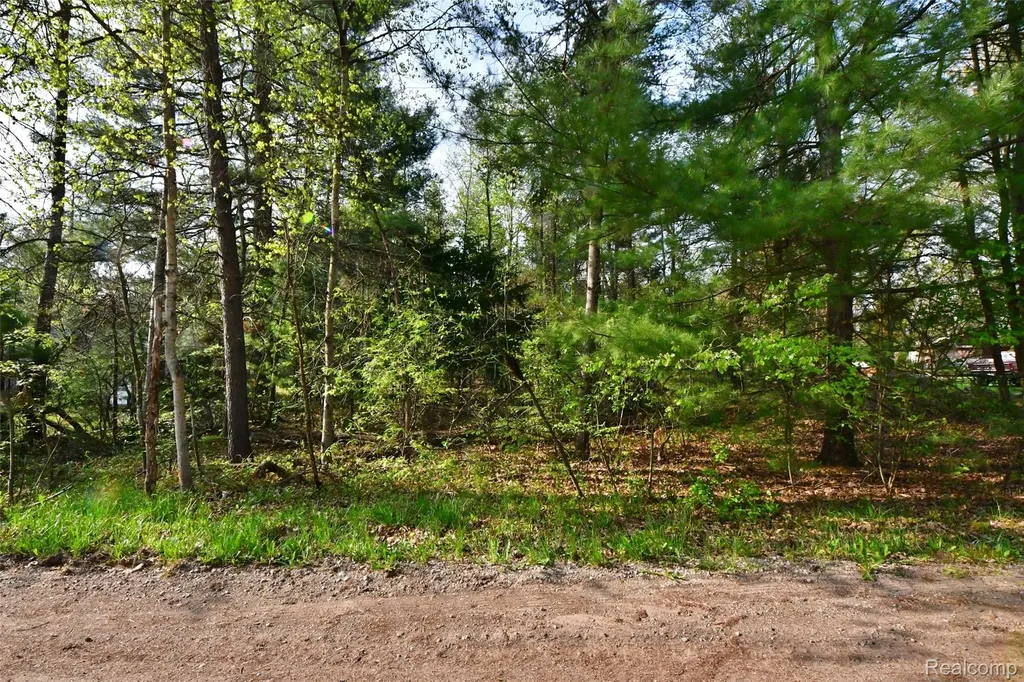 9340 Diamond Drive Richfield Township MI 48656