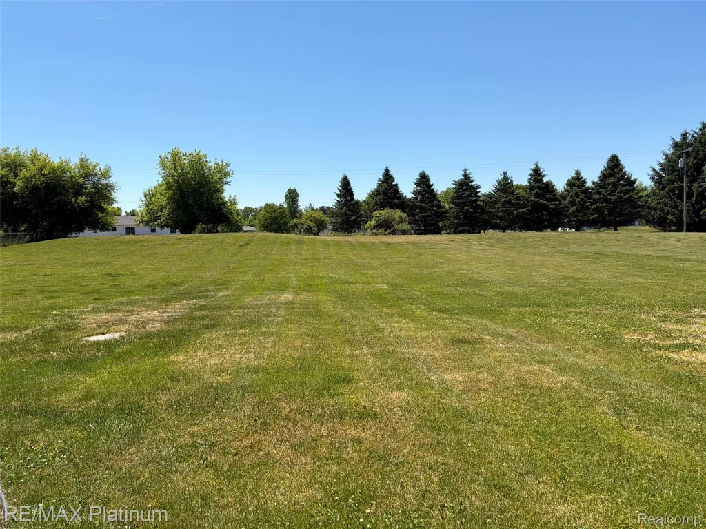 9731 Fountain Lane Handy Township MI 48836