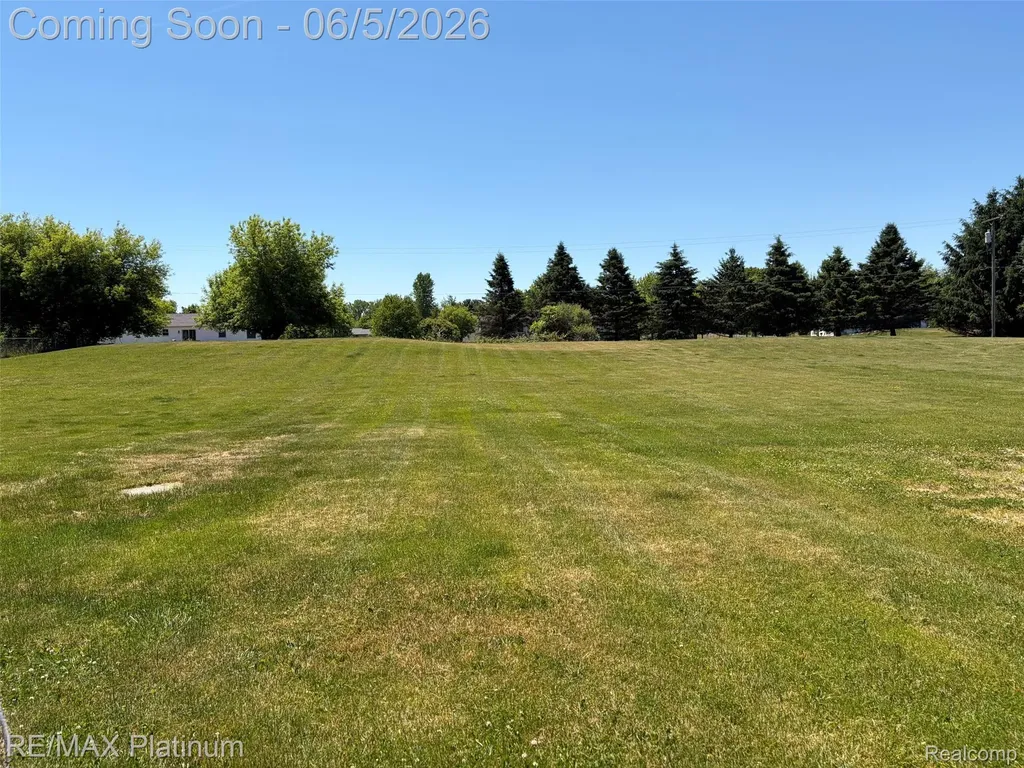 9731 Fountain Lane Handy Township MI 48836