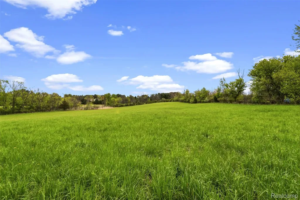 1145 S Washburn Road Elba Township MI 48423