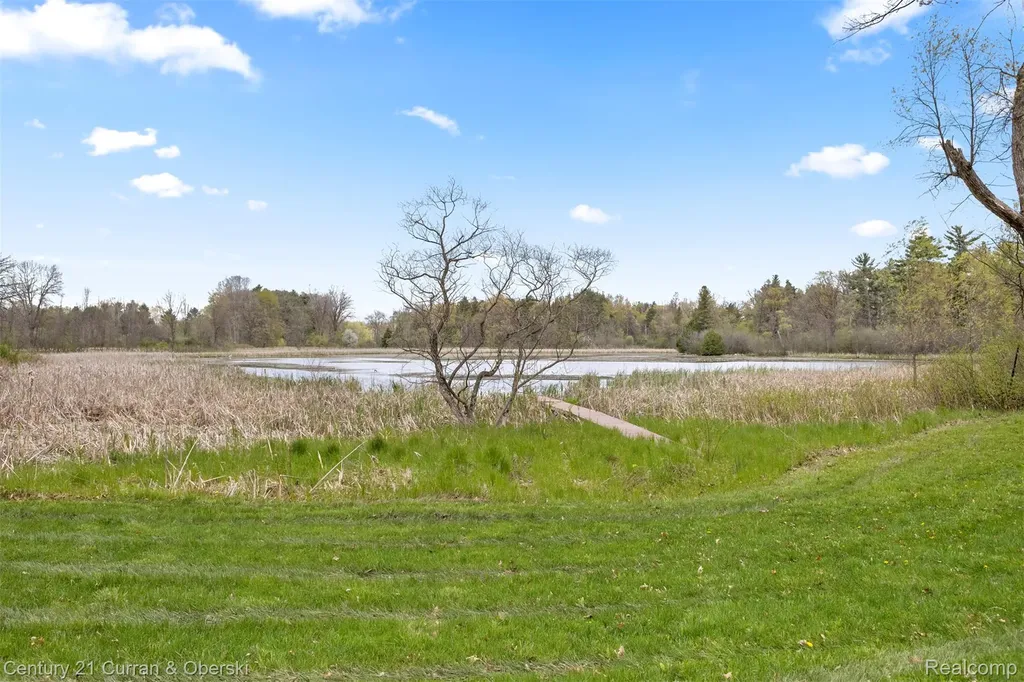 10459 Hyne Road Brighton Township MI 48114