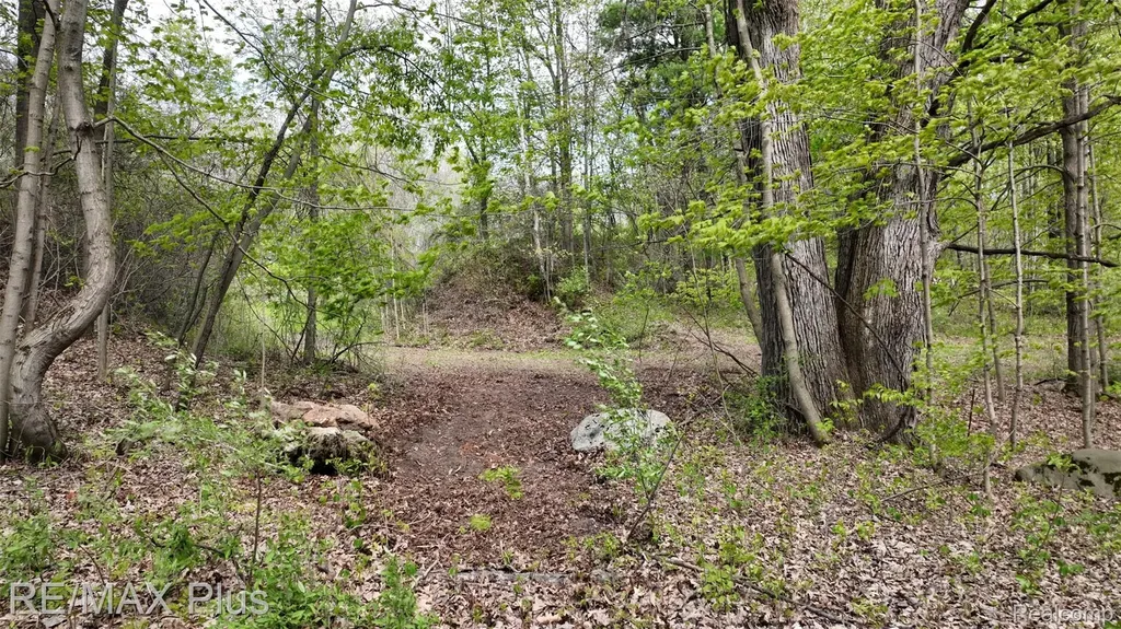 0000 Miller Lake Road Deerfield Township MI 48421