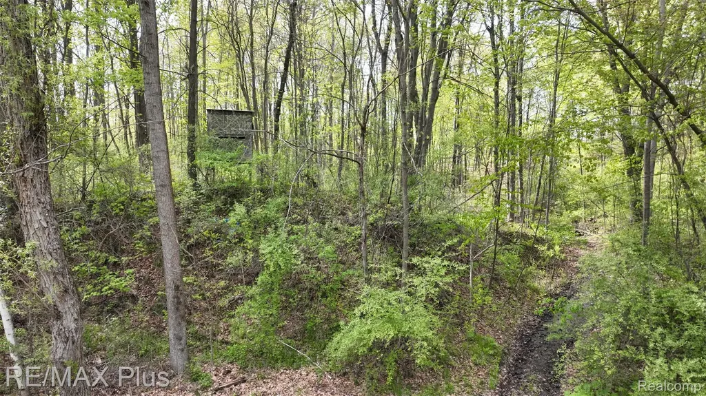 0000 Miller Lake Road Deerfield Township MI 48421