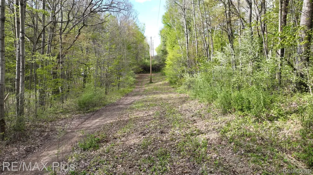 0000 Miller Lake Road Deerfield Township MI 48421