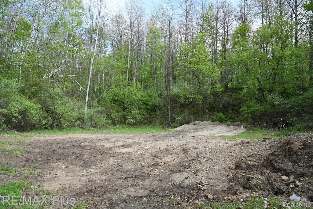 0000 Miller Lake Road Deerfield Township MI 48421