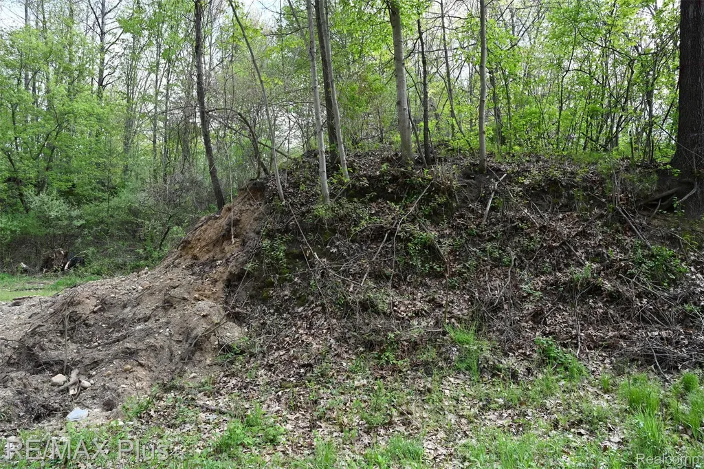 0000 Miller Lake Road Deerfield Township MI 48421