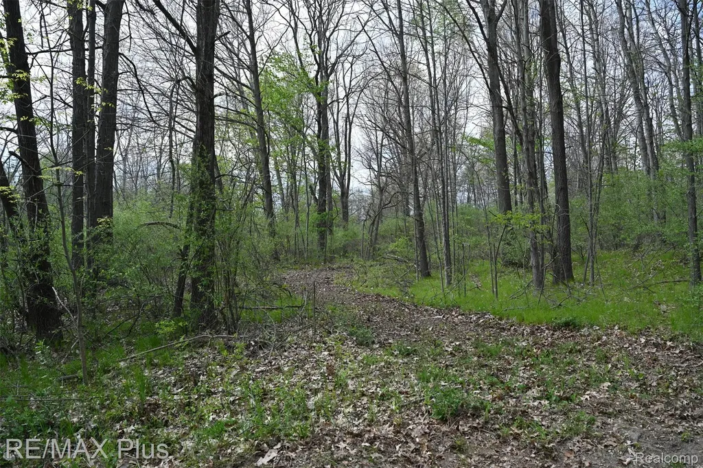 0000 Miller Lake Road Deerfield Township MI 48421
