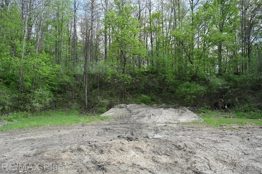 0000 Miller Lake Road Deerfield Township MI 48421