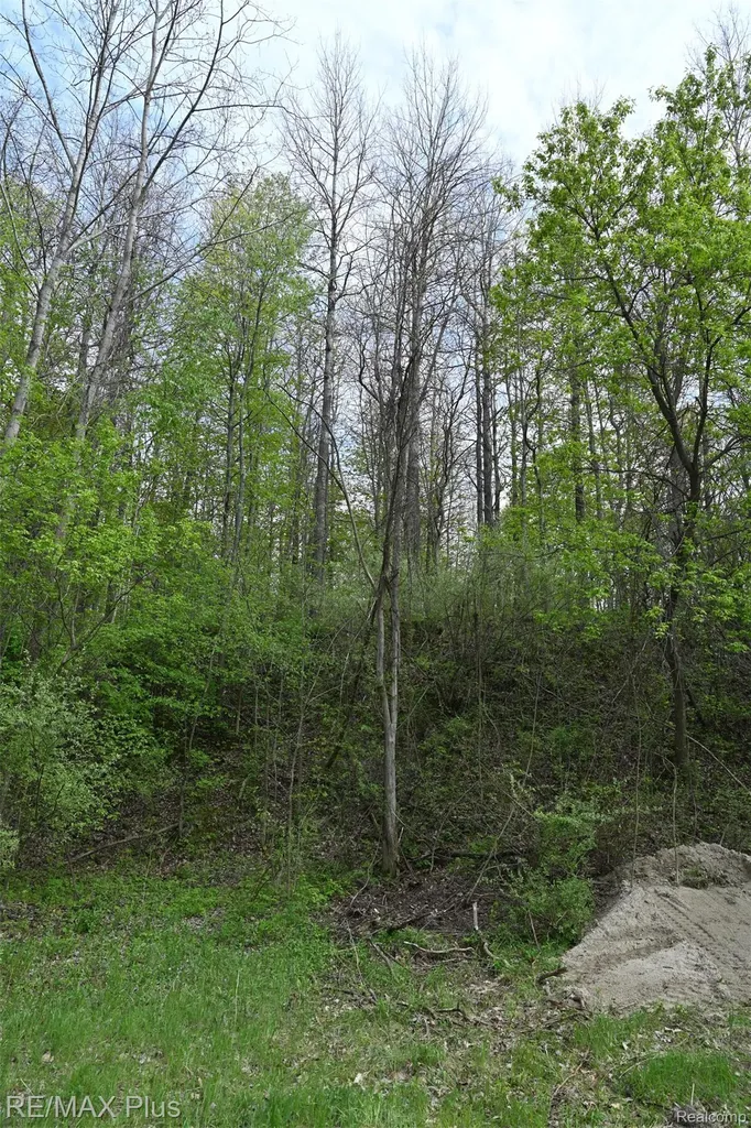 0000 Miller Lake Road Deerfield Township MI 48421