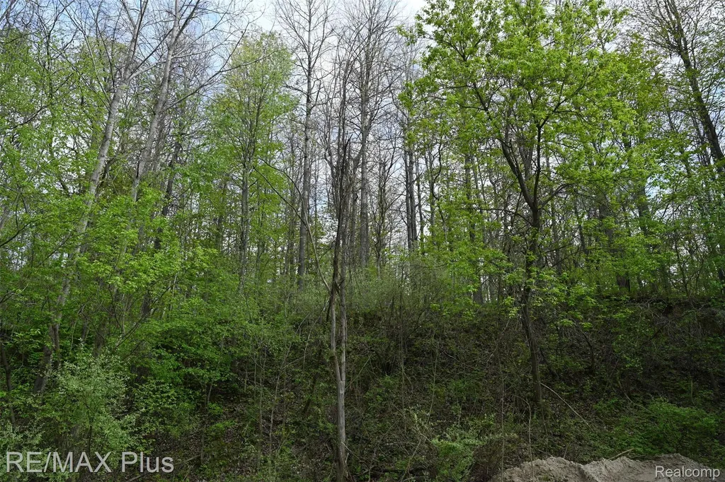 0000 Miller Lake Road Deerfield Township MI 48421