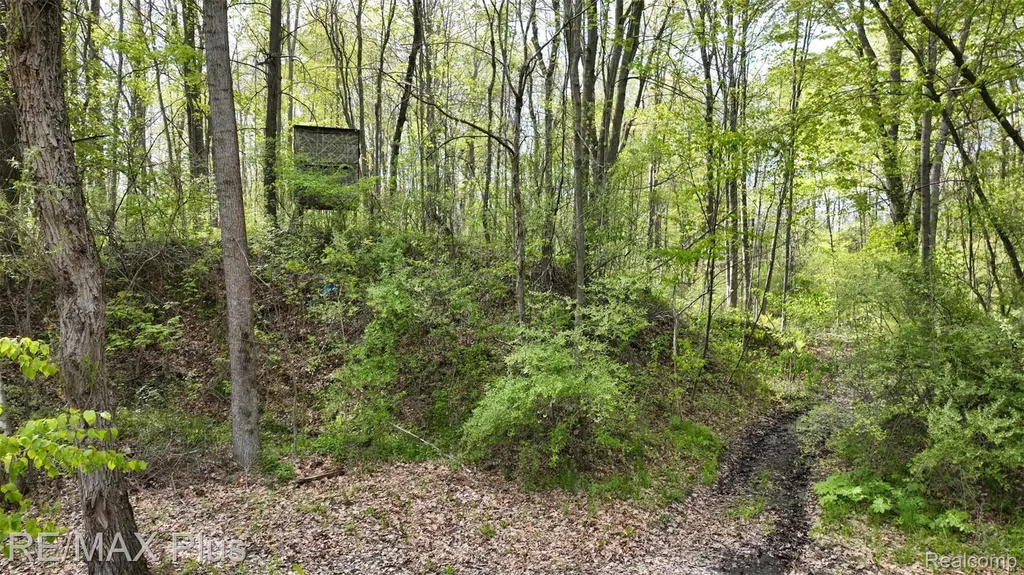 0000 Miller Lake Road Deerfield Township MI 48421