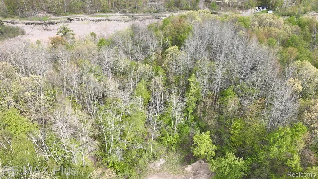 0000 Miller Lake Road Deerfield Township MI 48421