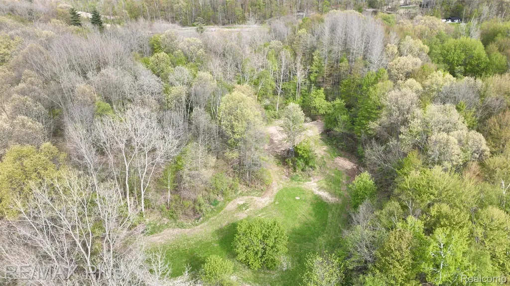 0000 Miller Lake Road Deerfield Township MI 48421
