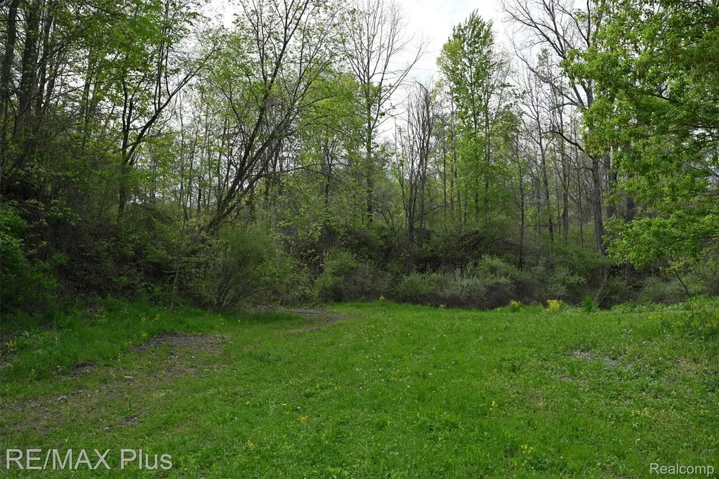 0000 Miller Lake Road Deerfield Township MI 48421