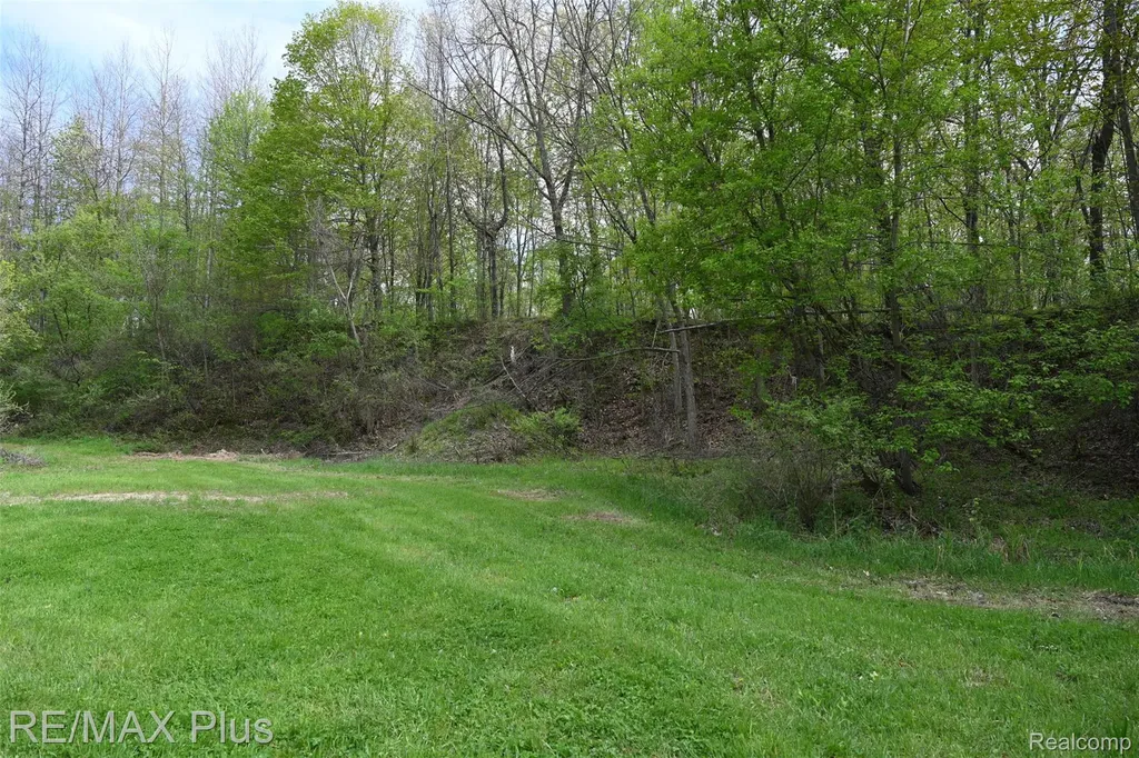 0000 Miller Lake Road Deerfield Township MI 48421