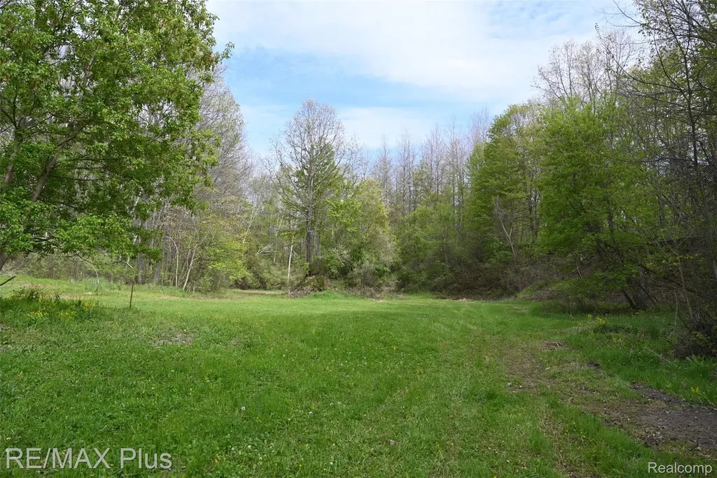 0000 Miller Lake Road Deerfield Township MI 48421