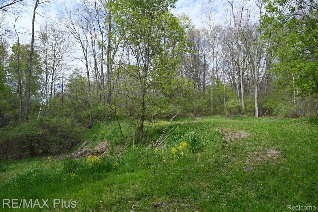 0000 Miller Lake Road Deerfield Township MI 48421