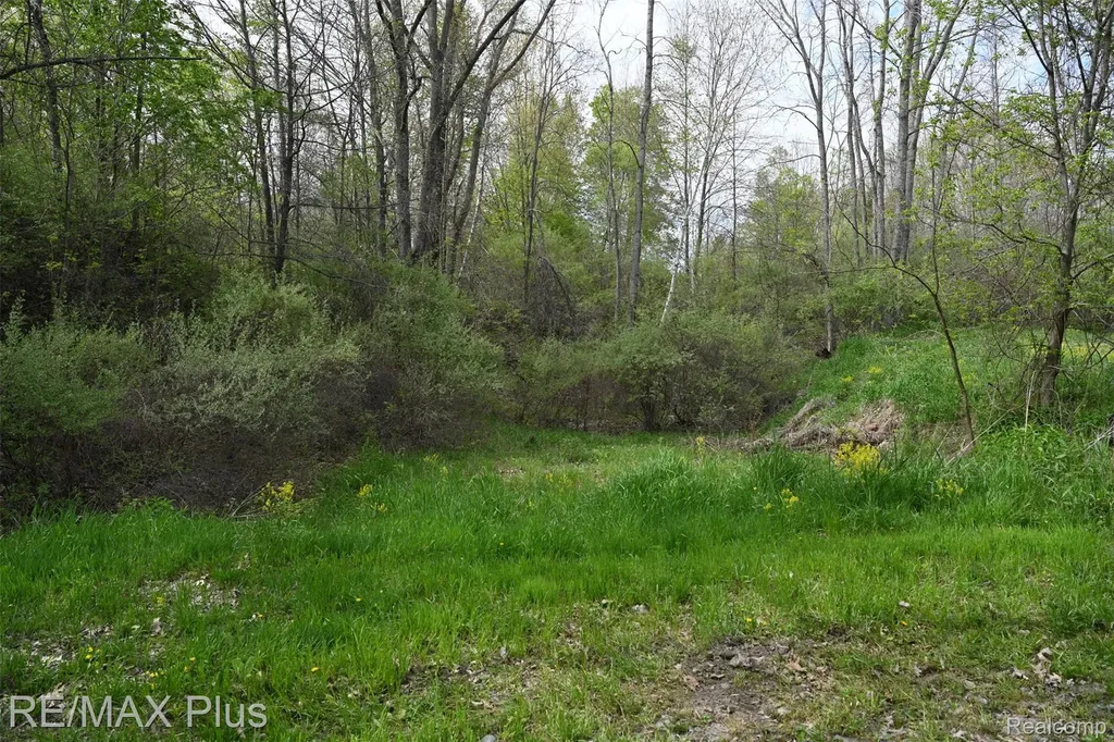 0000 Miller Lake Road Deerfield Township MI 48421
