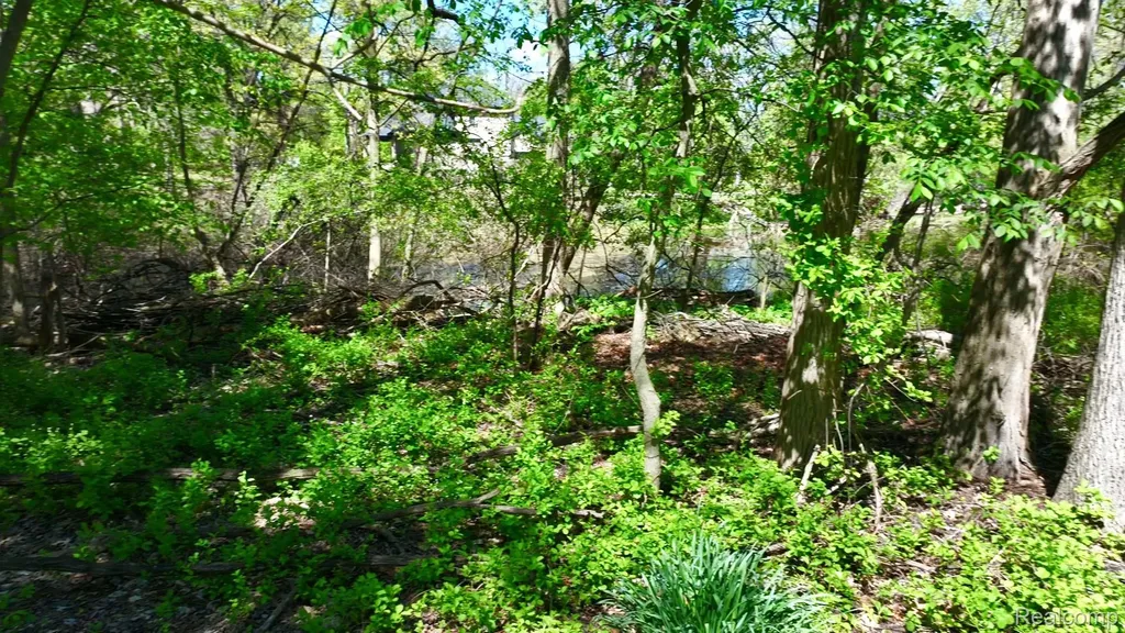 4502 Forest Edge Lane West Bloomfield Charter Township MI 48323