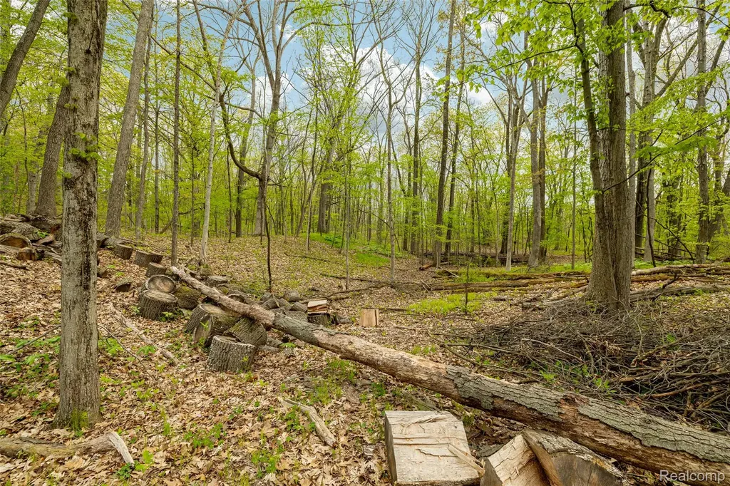 8470 Merrill Road Webster Township MI 48189