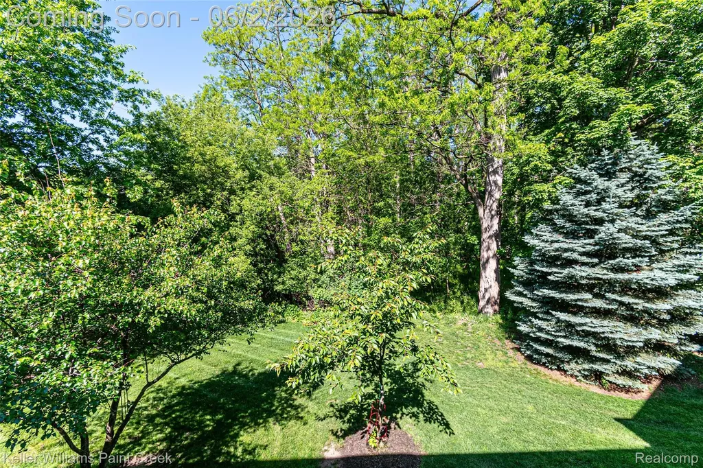 28569 Carlton Way Drive Novi City MI 48377