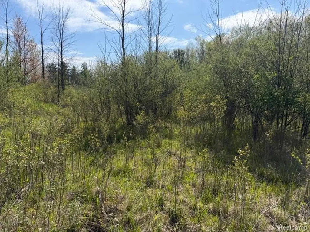Parcel A & B Kelch Road Rich Township MI 48744