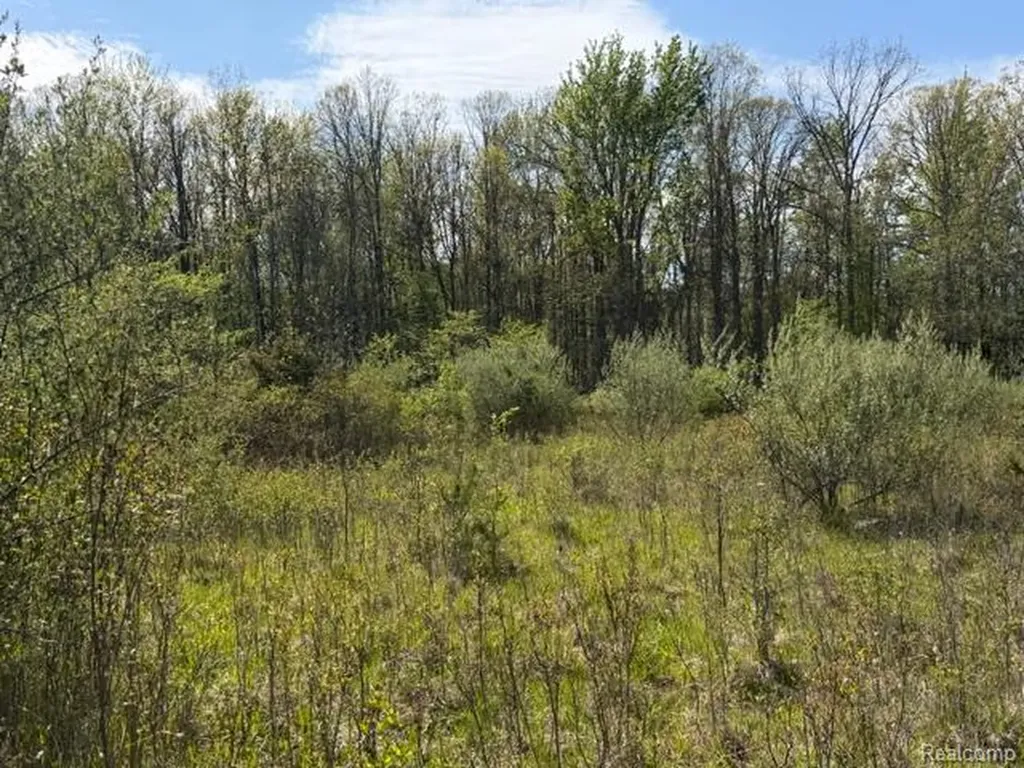 Parcel A & B Kelch Road Rich Township MI 48744