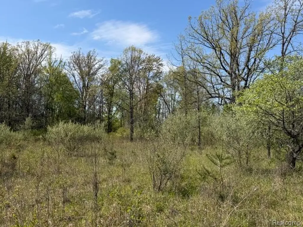 Parcel A & B Kelch Road Rich Township MI 48744